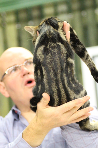 DK*Boholdt Ida Fra Lönneberga