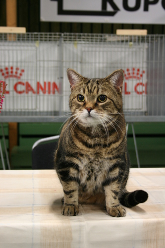 SP EC Finnvedens Tokai DSM